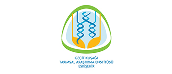 Geçit